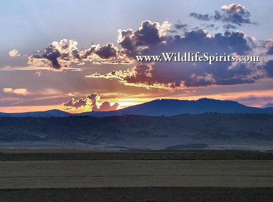 Click Picture to send as an  E-PostCard 52k 539x400